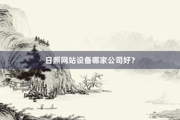 日照网站设备哪家公司好？