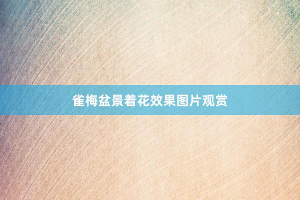 雀梅盆景着花效果图片观赏