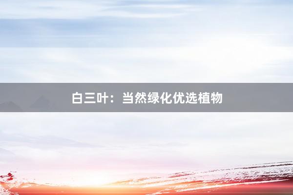 白三叶：当然绿化优选植物