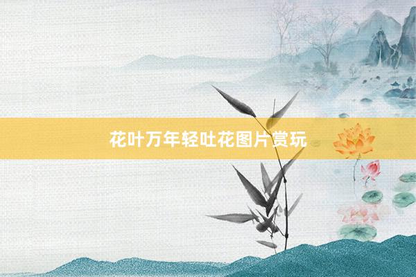 花叶万年轻吐花图片赏玩