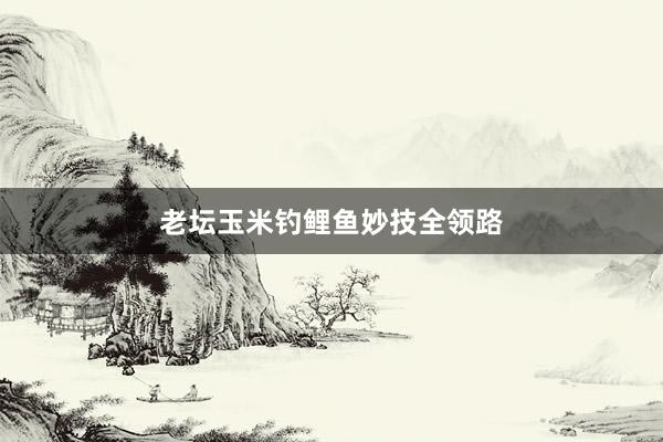 老坛玉米钓鲤鱼妙技全领路